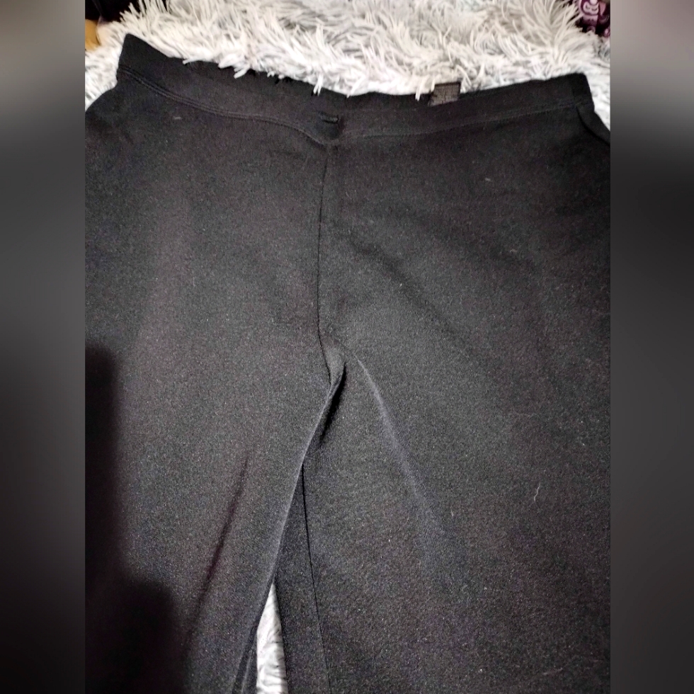 Express Polyester Pants